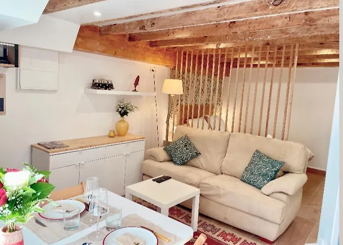 Studio Cozy Avec Jardin Au Centre Ville D\'Hendaye A 10 Minutes D\'Espagne